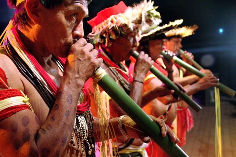  Amanecer en el Amazonas Una Sinfonía de Ritmos Indígenas y Melodías del Bosque Tropical