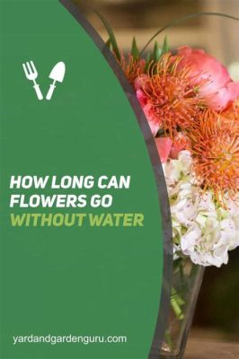 How Long Can Flowers Go Without Water: A Symphony of Thirst and Resilience