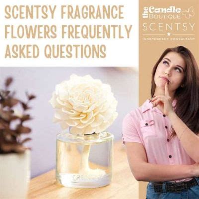 How Long Do Scentsy Fragrance Flowers Last? Exploring the Lifespan and Beyond