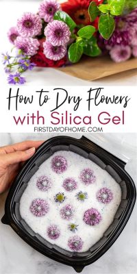 How to Dry Flowers in Silica Gel: A Journey Through Preservation and Whimsy