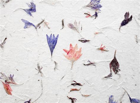 How to Glue Dried Flowers to Paper: A Symphony of Preservation and Chaos