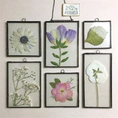 How to Make Pressed Flowers: A Journey Through Time and Nature