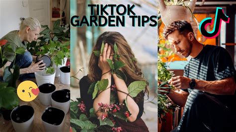 What is Gardening TikTok? A Deep Dive into the World of Green Thumbs and Viral Clips