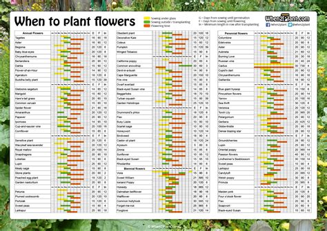 When to Plant Flowers in Indiana: A Symphony of Seasons and Whimsical Weather